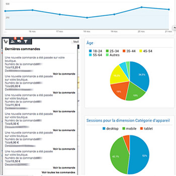 Démonstrations et explications pour exploiter les données fournies par un CMS de e-commerce pour optimiser les ventes